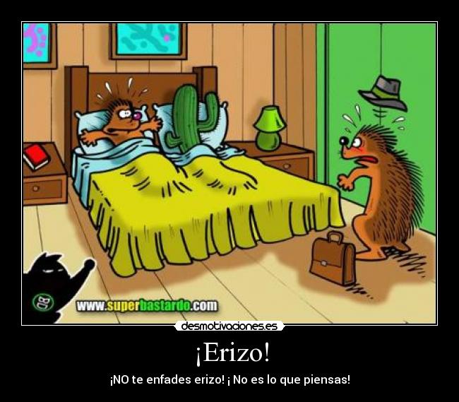 ¡Erizo! - 