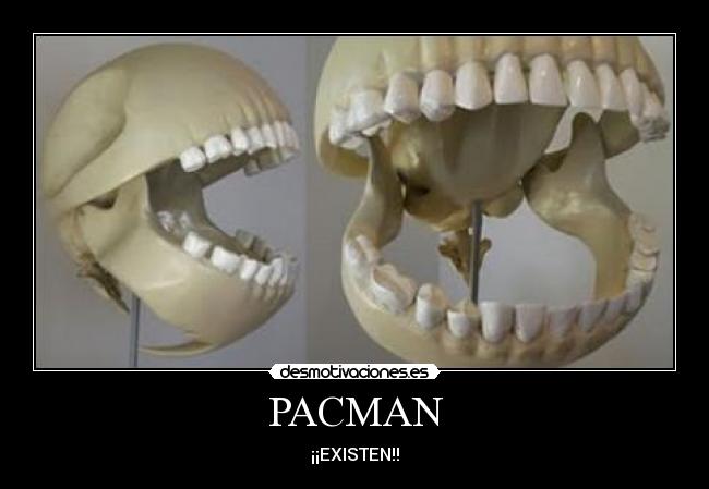 PACMAN - ¡¡EXISTEN!!