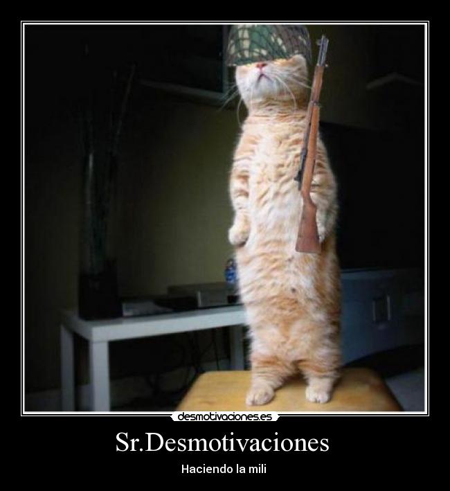Sr.Desmotivaciones -