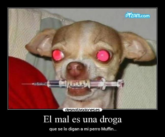 carteles perro malvado desmotivaciones