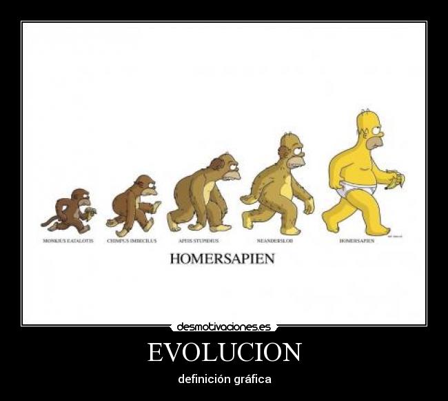 EVOLUCION - definición gráfica