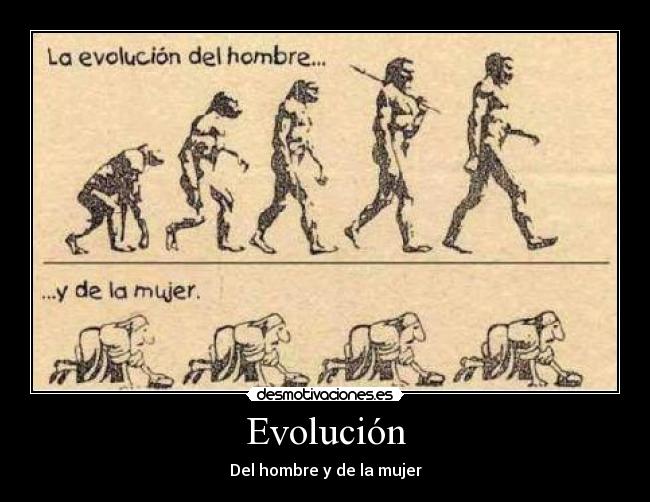 Evolución -