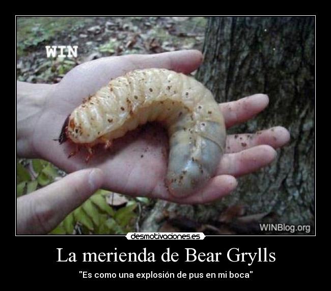La merienda de Bear Grylls -