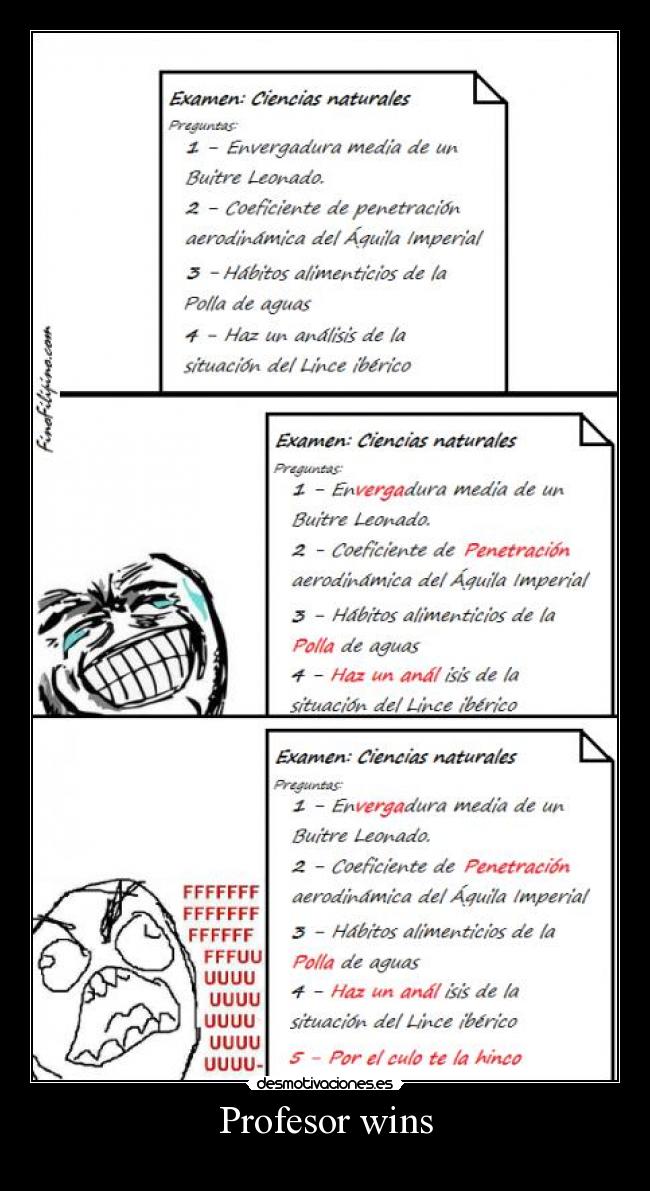 Profesor wins - 