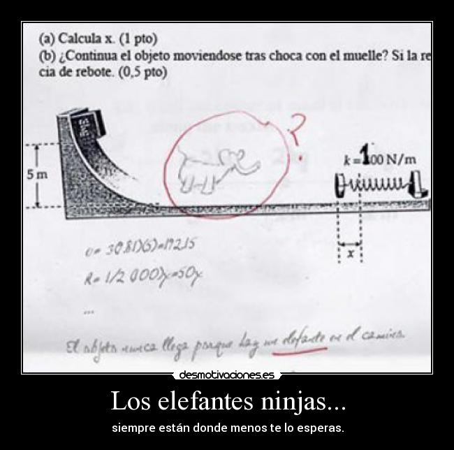 Los elefantes ninjas... - siempre están donde menos te lo esperas.