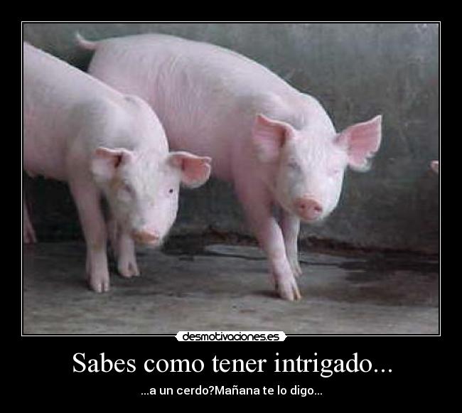 carteles animales desmotivaciones