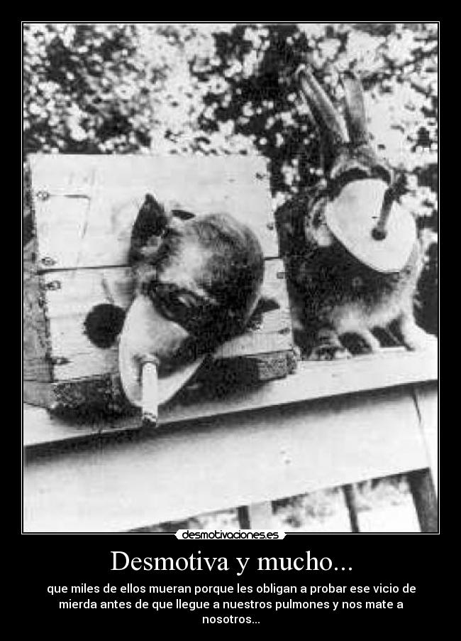 Desmotiva y mucho... - que miles de ellos mueran porque les obligan a probar ese vicio de
mierda antes de que llegue a nuestros pulmones y nos mate a
nosotros...