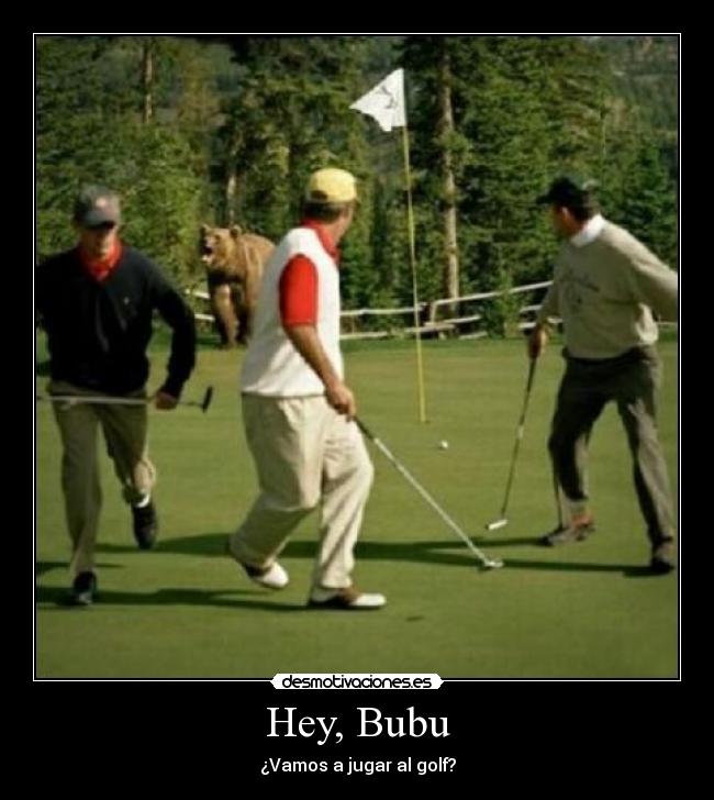 carteles deportes animalitos desmotivaciones