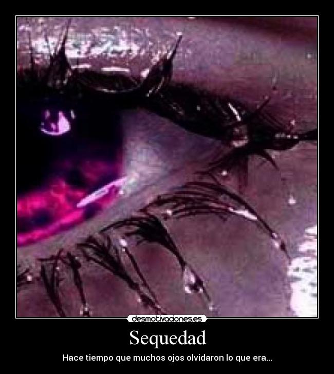 Sequedad - Hace tiempo que muchos ojos olvidaron lo que era...