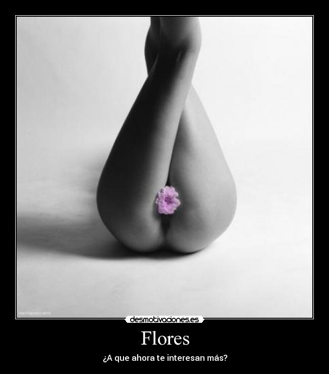 Flores - 