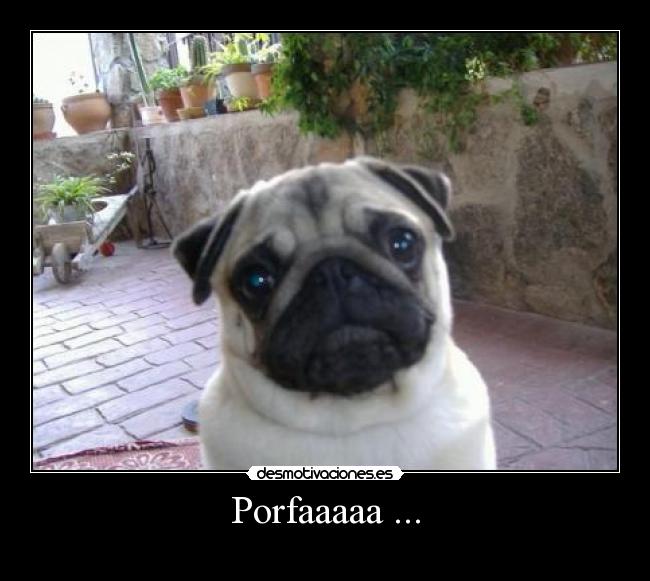 Porfaaaaa ... - 