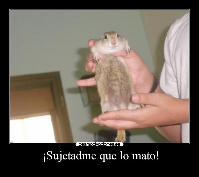 ¡Sujetadme que lo mato! - 