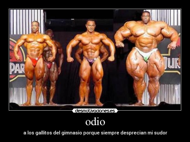 carteles odio wwwdesmotivacioneses desmotivaciones