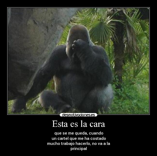 Esta es la cara -