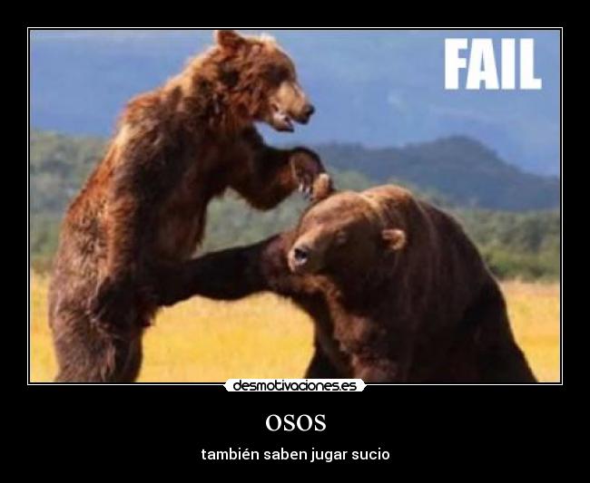osos -