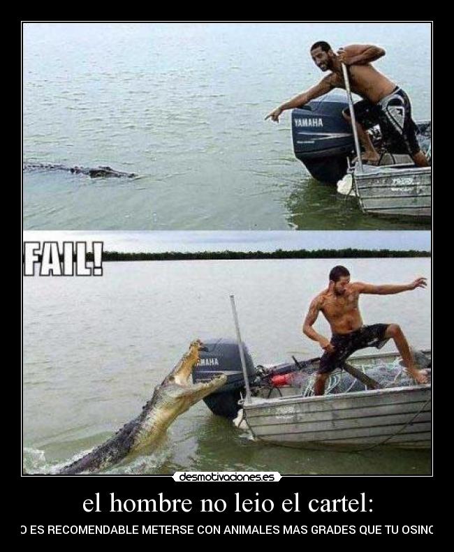 el hombre no leio el cartel: - NO ES RECOMENDABLE METERSE CON ANIMALES MAS GRADES QUE TU OSINO...