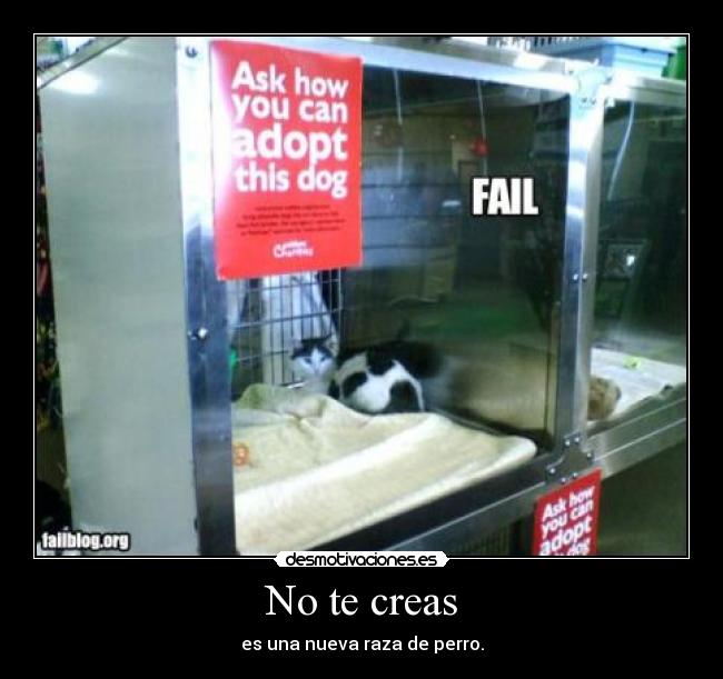 No te creas - 