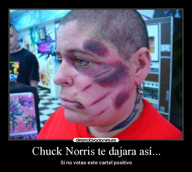 Chuck Norris te dajara así... - 