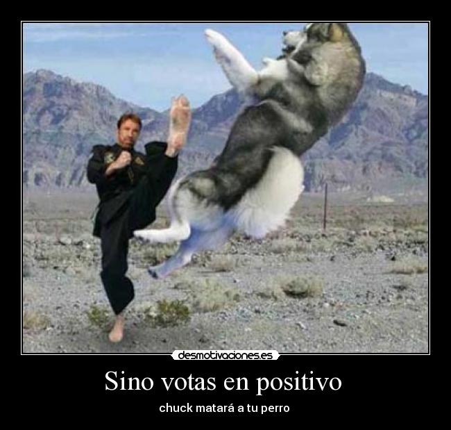 Sino votas en positivo  - 