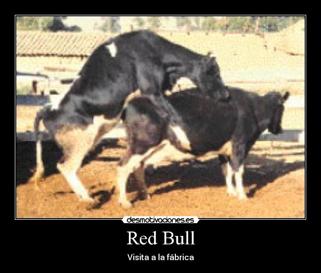 Red Bull - Visita a la fábrica