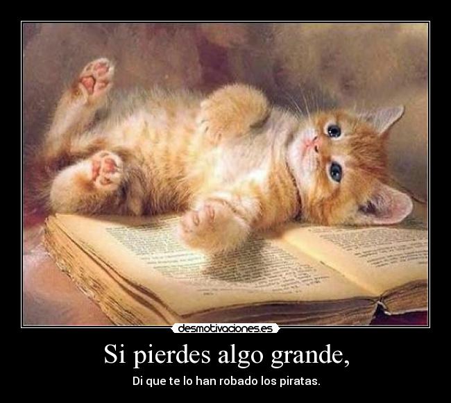 Si pierdes algo grande, - Di que te lo han robado los piratas.