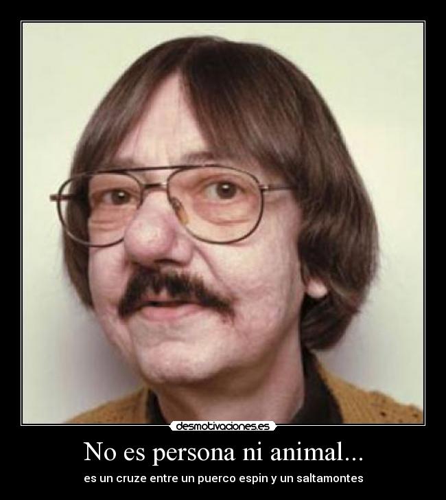 No es persona ni animal... -