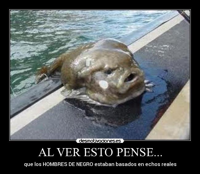AL VER ESTO PENSE... - 