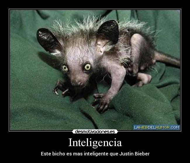 Inteligencia -