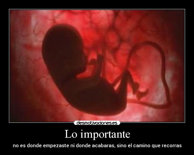 carteles algo que hay que olvidar desmotivaciones