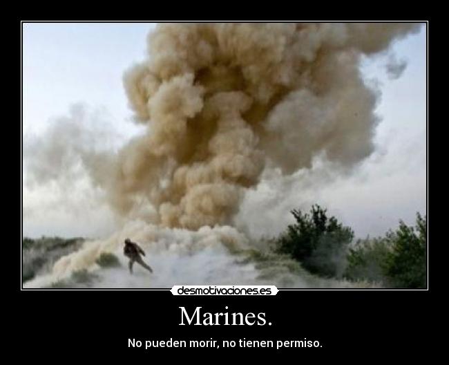 Marines. - No pueden morir, no tienen permiso.