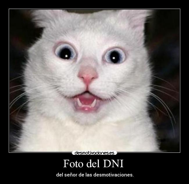 Foto del DNI  - 