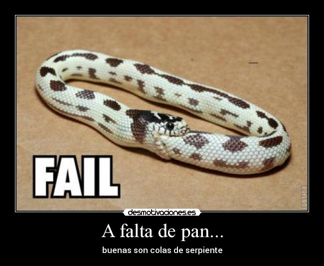 A falta de pan... - buenas son colas de serpiente