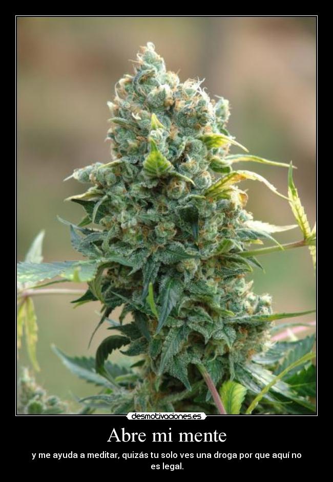 Abre mi mente -