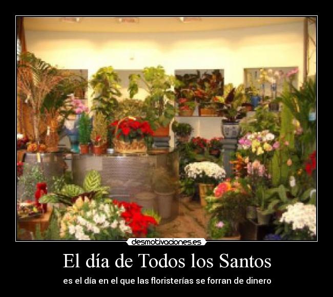 carteles dia todos los santos dinero flores desmotivaciones