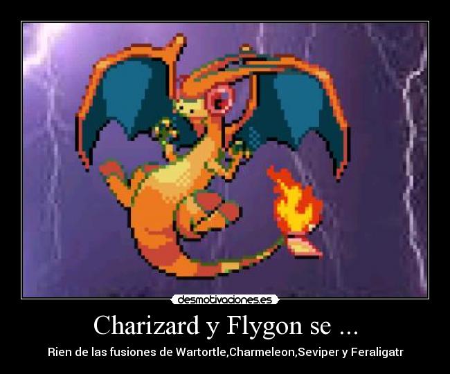 Charizard y Flygon se ... - Rien de las fusiones de Wartortle,Charmeleon,Seviper y Feraligatr