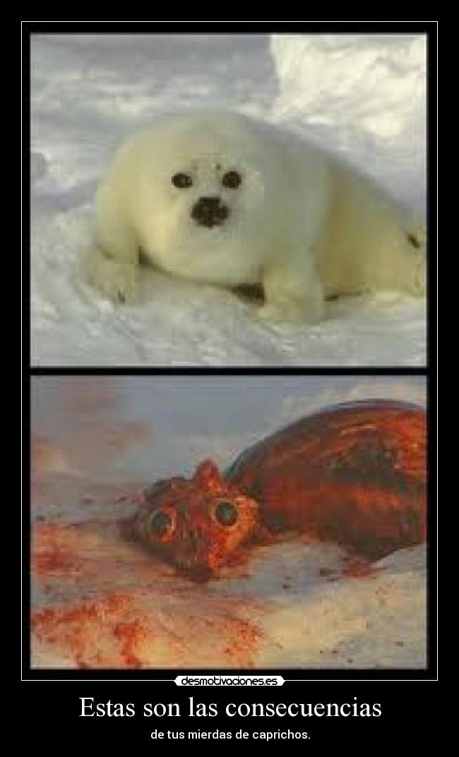 Estas son las consecuencias - de tus mierdas de caprichos.