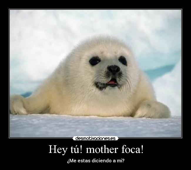 Hey tú! mother foca! - ¿Me estas diciendo a mi?