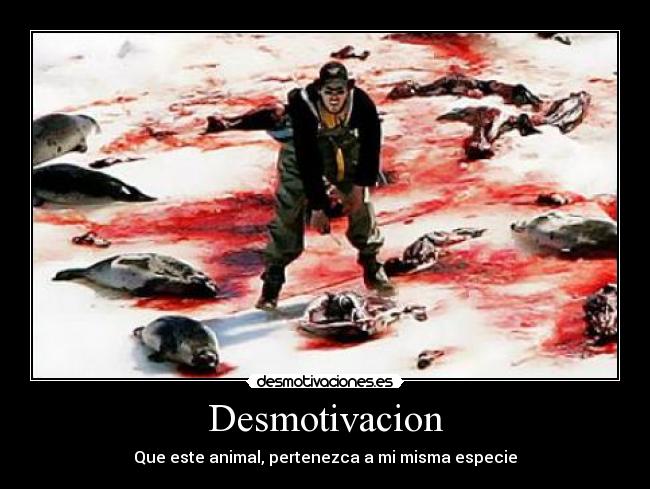 Desmotivacion - Que este animal, pertenezca a mi misma especie
