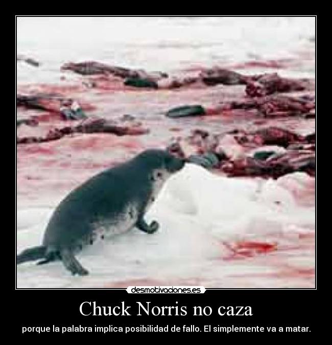 Chuck Norris no caza - porque la palabra implica posibilidad de fallo. El simplemente va a matar.