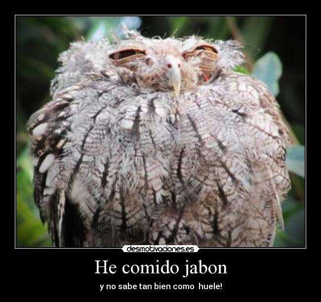 He comido jabon -