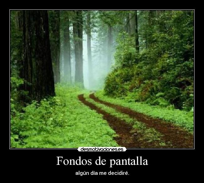 Fondos de pantalla -