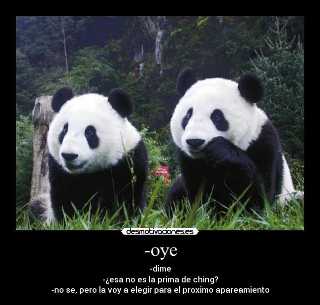 -oye - -dime
-¿esa no es la prima de ching?
-no se, pero la voy a elegir para el proximo apareamiento