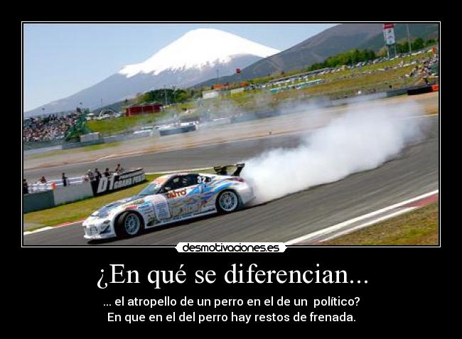 ¿En qué se diferencian... - ... el atropello de un perro en el de un político?
En que en el del perro hay restos de frenada.