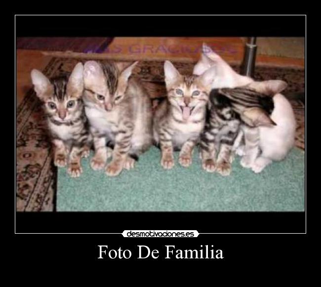 Foto De Familia -