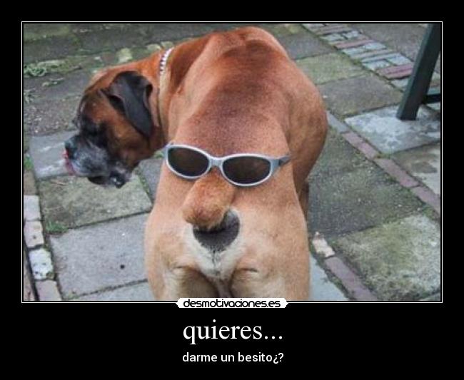 quieres... -