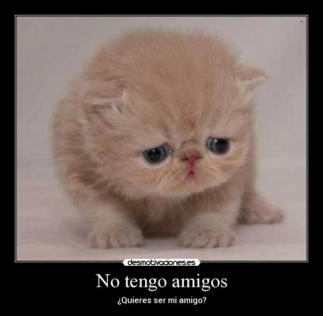 No tengo amigos -