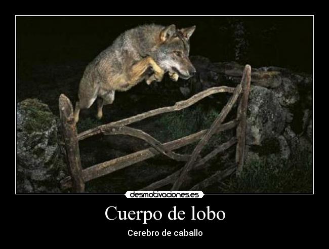 Cuerpo de lobo - Cerebro de caballo