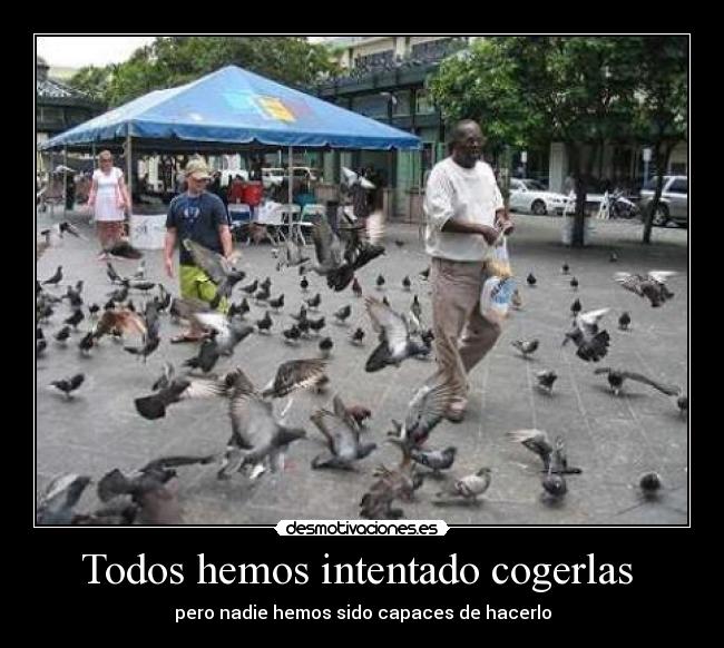 Todos hemos intentado cogerlas  - 