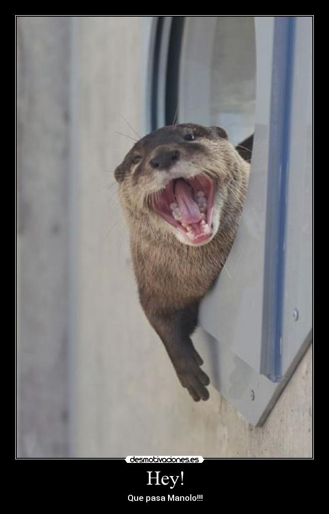 Hey! - Que pasa Manolo!!!