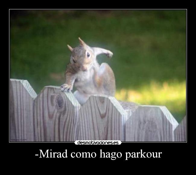 -Mirad como hago parkour - 